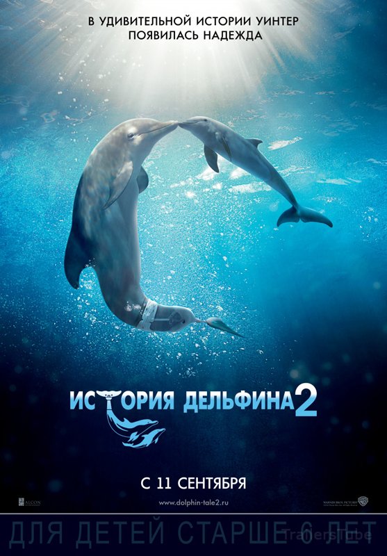 История дельфина 2