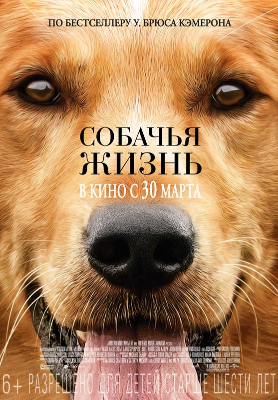 Собачья жизнь